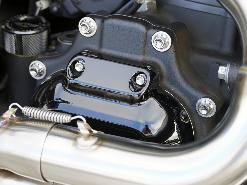 Titanium 12-Point Transmission Side Cover Bolt Kit - Polished. Fits Touring 2007-2023, Softail 2007-2024 & Dyna 2006-2017 - Image 3