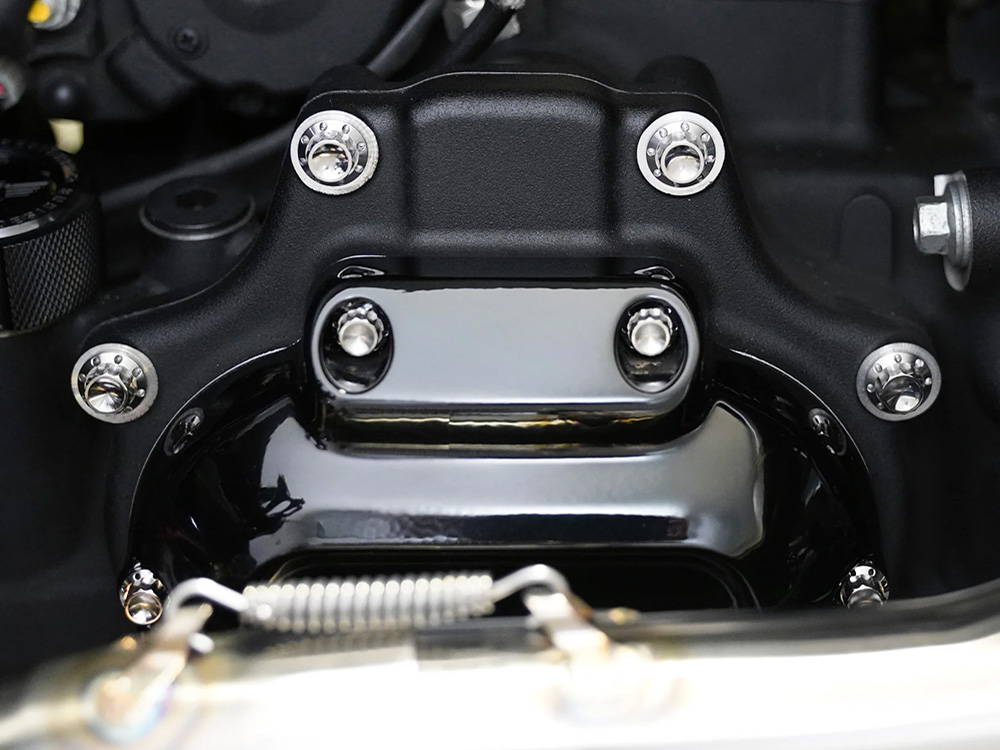 Titanium 12-Point Transmission Side Cover Bolt Kit - Polished. Fits Touring 2007-2023, Softail 2007-2024 & Dyna 2006-2017 - Image 4