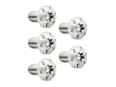 Titanium Rear Disc Rotor Bolts - Polished. Fits H-D Big Twin 1997up & Sportster 1997-2021