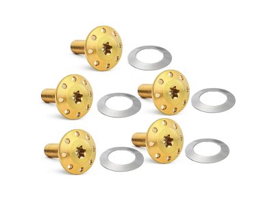 Titanium Holeshot Front Brake Rotor Bolts - Gold. Fits Street Glide & Road Glide 2024up with Spoke Mounted Disc, Sportster S 2021up & Pan America 2021up with Cast Mag Wheel