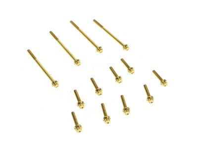 Titanium 12-Point Primary Cover Bolt Kit - Gold. Fits Softail 2007-2017 Non-240 Tyre Models & Touring 2017up