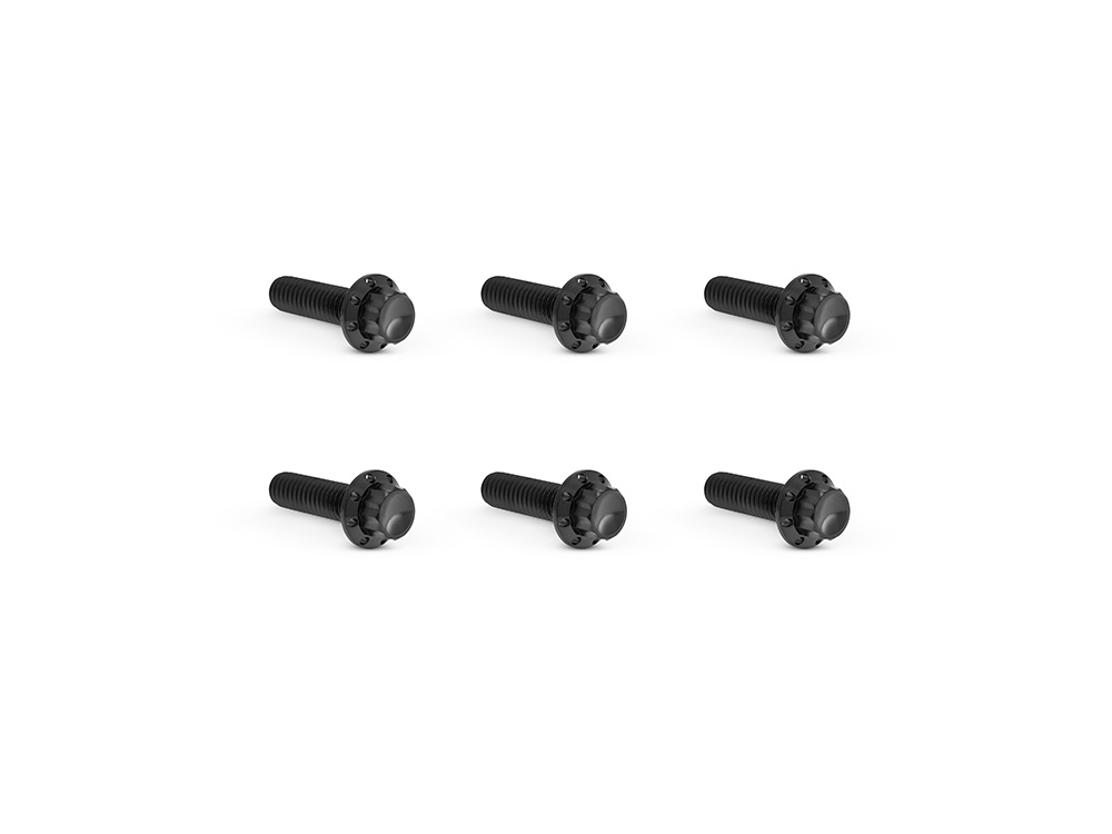 Titanium 12-Point Transmission Top Cover Bolt Kit - Black. Fits Softail 2007-2024, Most Touring 2007-2024 & Dyna 2006-2017