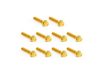 Titanium 12-Point Cam Cover Bolt Kit - Gold. Fits Twin Cam 1999-2017