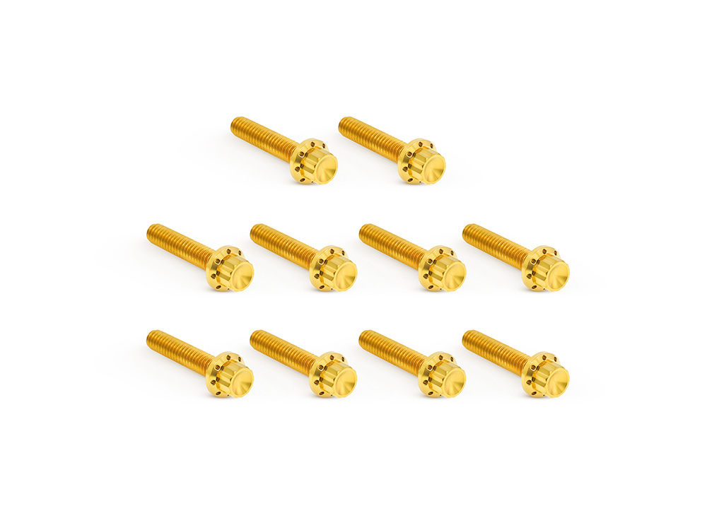 Titanium 12-Point Cam Cover Bolt Kit - Gold. Fits Twin Cam 1999-2017