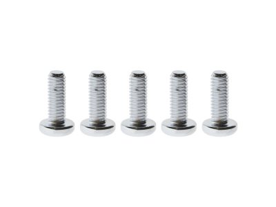 Front Disc Rotor Bolts - Chrome. Fits H-D Big Twin 1984up & Sportster 1984-2021.